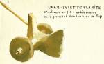 001 char selette elamite