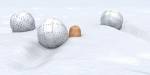 boules hiver