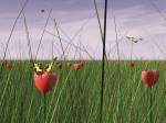 prairie
